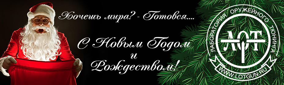 Поздравительный банер на сайт «С Новым годом 2017» LotGun